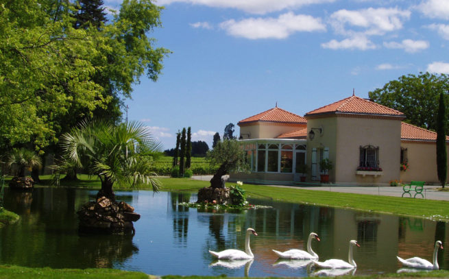 château l'inclassable vignobles bordelais fauchey devant lac avec cygnes